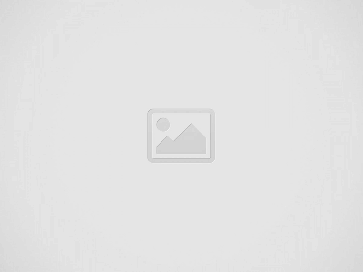 Papel de parede na decoração da sua casa: Ideias e dicas para escolher o melhor modelo